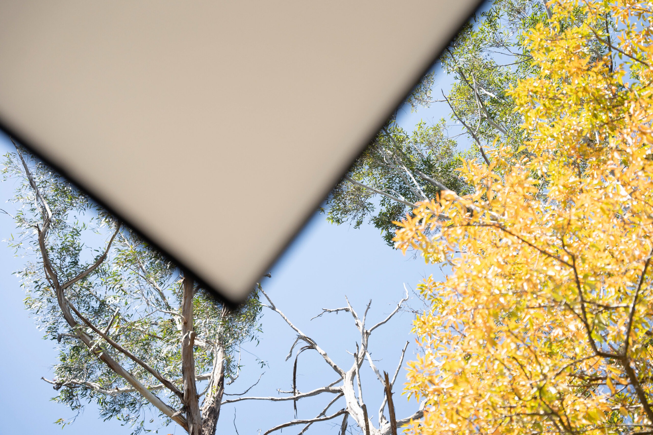 Trahlee Project by LoveLife Projects